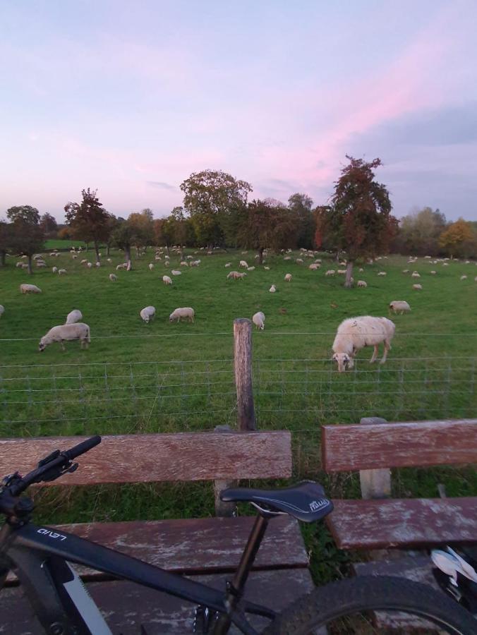Ferienwohnung Niederrhein Wesel  Bagian luar foto