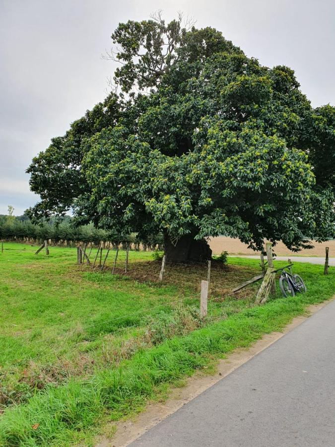 Ferienwohnung Niederrhein Wesel  Bagian luar foto