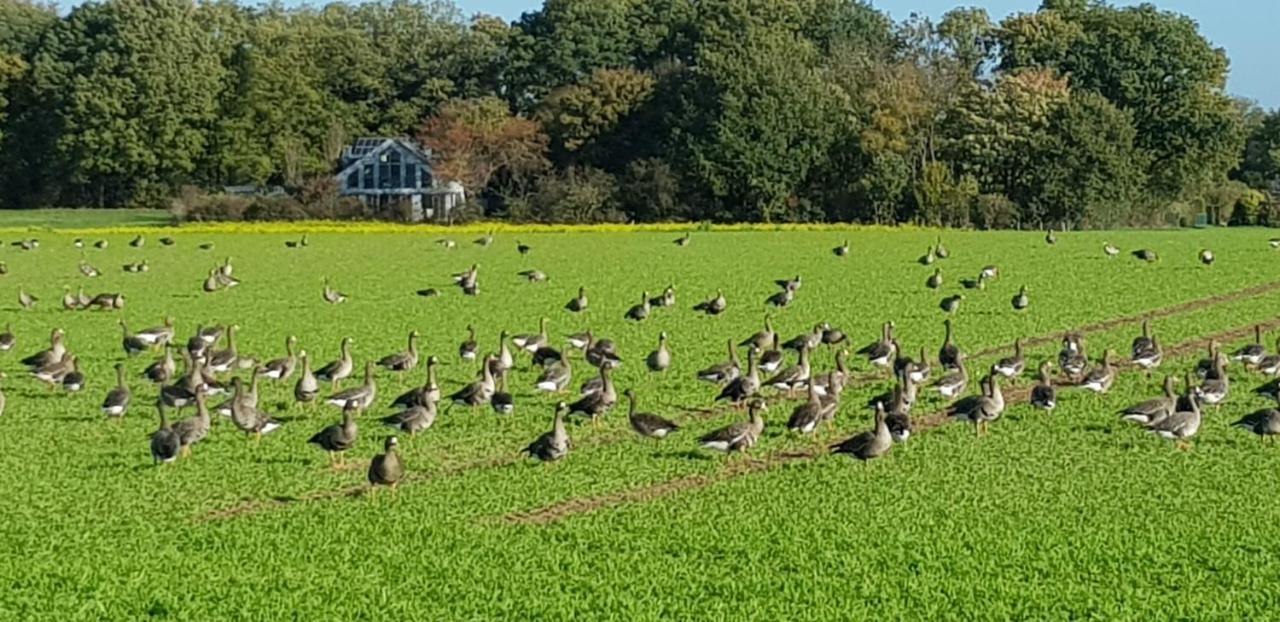Ferienwohnung Niederrhein Wesel  Bagian luar foto
